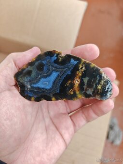 Acháty řezy Timor - 12