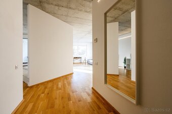 Pronájem bytu 2+kk 64 m², Plzeň - Severní Předměstí - 12