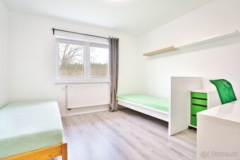 Prodej rodinného domu 137 m², pozemek 4273 m² Loučka - 12