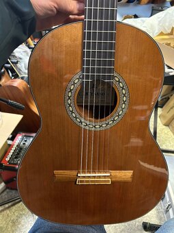 Koncertni ukulele AERSI se snimacem Top kvalita - 12