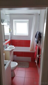 Pronájem bytu 2+1 - 12