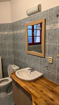 Pronájem bytu 2+1 Bílovec - 12