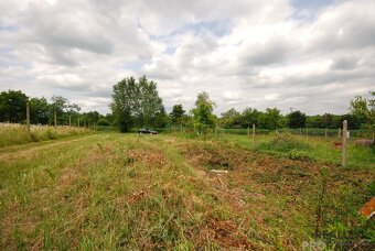 Prodej pozemku k rekreaci či trvalému bydlení s vinným sklep - 12