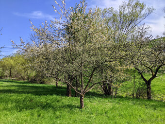Prodám zahradu 2000m² - Frýdštejn - Sestroňovice - 12