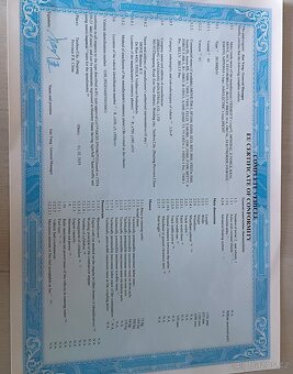 Tříkolový el.vozík - 12