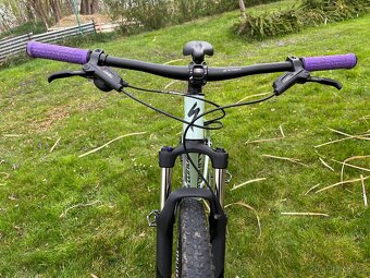 Specialized rockhopper - 12