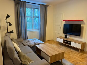 Pronájem bytu 2+1, Žižkov, se zahrádkou - 12