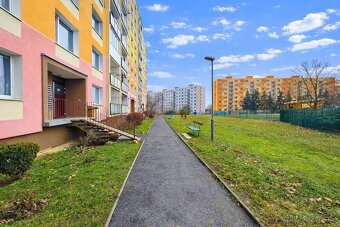 Prodej bytu 1+1, DV, ul. Písečná - 12