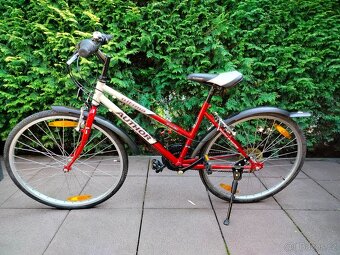 Author Ultima 24" CROSS edition - 12