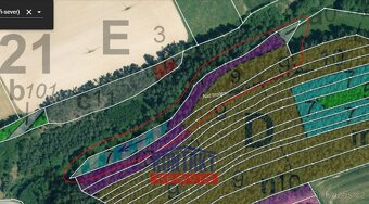 Prodej unikátních lesních pozemků v katastrálním území Hodyn - 12