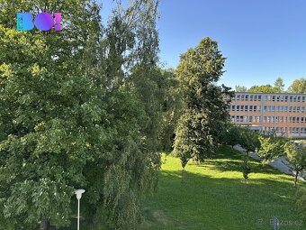 Prodej bytu 2+1, Ostrava - Zábřeh - 12