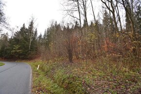 Pozemek Merklín - 12