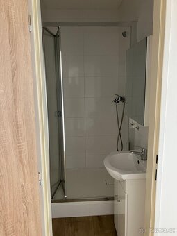 Byt 1+1, 38 m², F. L. Čelakovského 1 - 12