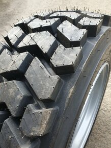 Kola UNC - Locust - 12