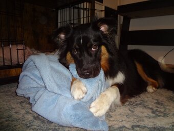 Sony cybershot DSC-W170 - 12