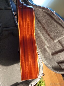 Furch Yellow plus om-cp - 12