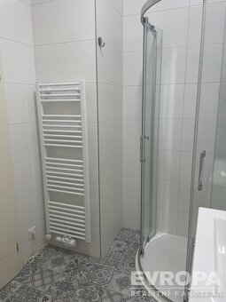 Pronájem bytu 2kk v centru Prahy - Vinohrady u Riegrových sa - 12