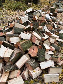 Prodej palivového dřeva - 12