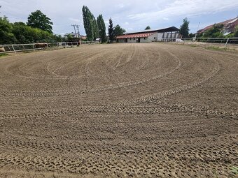 Ustájení - 12