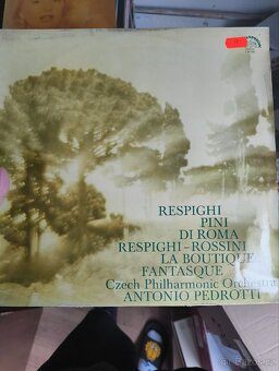 Gramofonové desky - 12