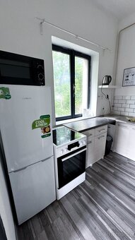 Krásný, plně vybavený byt 1+1 po rekonstrukci - 12
