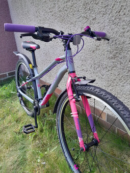 ROCK MACHINE Thunder 26 Gloss Grey/Pink/Violet - 12