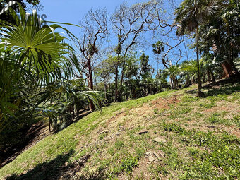 Atocha Lot 1&2 -First Bight, Roatan - 12