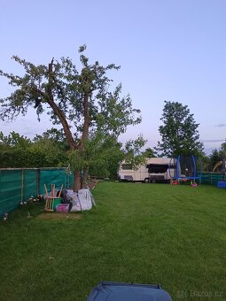 Pronajmu zahradu Strašice u Rokycan. Sad jabloní 1500Kč. - 12