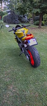 Aprilia Tuono 660 - 12