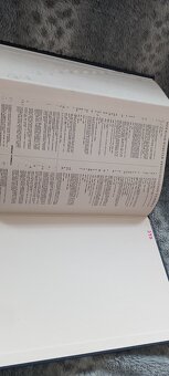 Websterův naučný slovník - 12