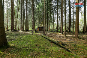 Prodej 1/3 lesa, 2967 m², Čachrov - 12