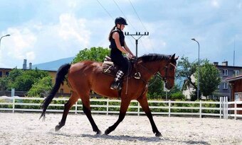 VALACH PARŤÁK PRO ŽIVOT A REKREACI - 12