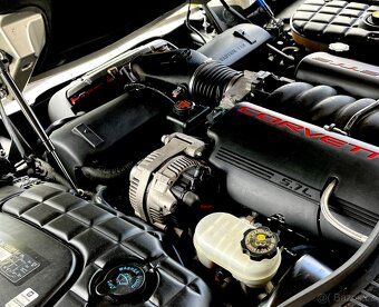 Chevrolet Corvette C5 MANUAL targa - 12