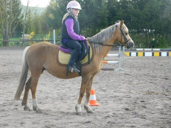 pony klisna - 12