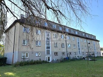 Poděbrady, pronájem bytu 2+1, 58 m2, okr. Nymburk - 12