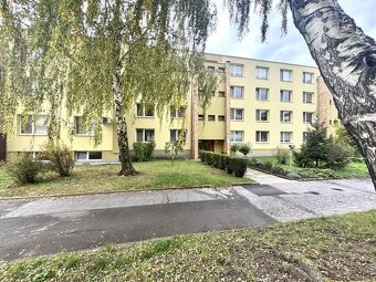 Pronájem bytu 2+1, St. Živného, Mikulov - 12