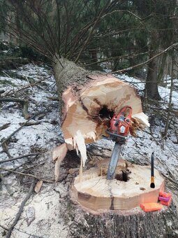 Lesnické práce - 12