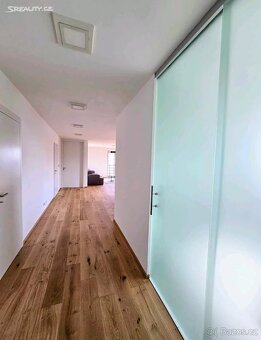 Pronájem bytu 3+kk 119 m² U Dívčích hradů, Praha - Smíchov - 12
