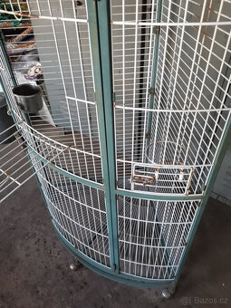 Klec - voliera rohova - 12