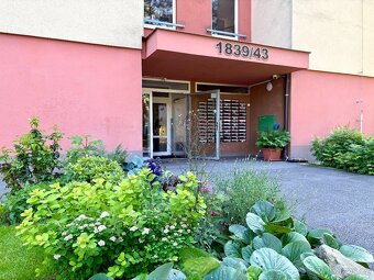 Pronájem bytu 2+1+3L po rekonstrukci v České Lípě - 12