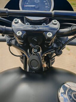Harley Davidson Street 750 dovoz. - 12