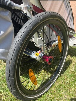 Thule Chariot cx 2 - 12