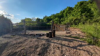 Nabídka ustájení 24/7 - 12