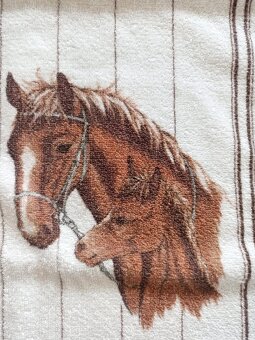 Deka 133x186cm a 163x210cm + ručníky 100%bavlna 92x48cm - 12