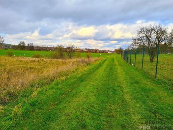 REZERVOVÁNO Prodej zahrady 1000m2, rovina, sad - 12