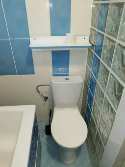 Pronájem bytu 2+1 Smetanova Chvaletice - 12