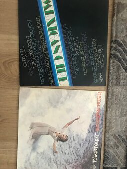 LP desky - 12