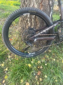 Specialized status (enduro) - 12