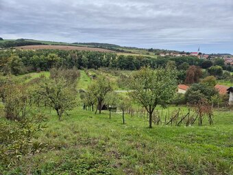 Zahrada ve lhotské Staré hoře - 12