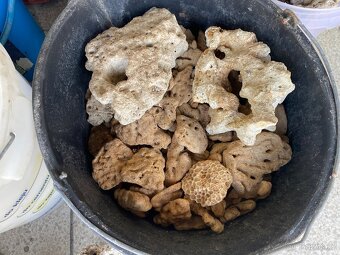 Mořské akvárium - 12